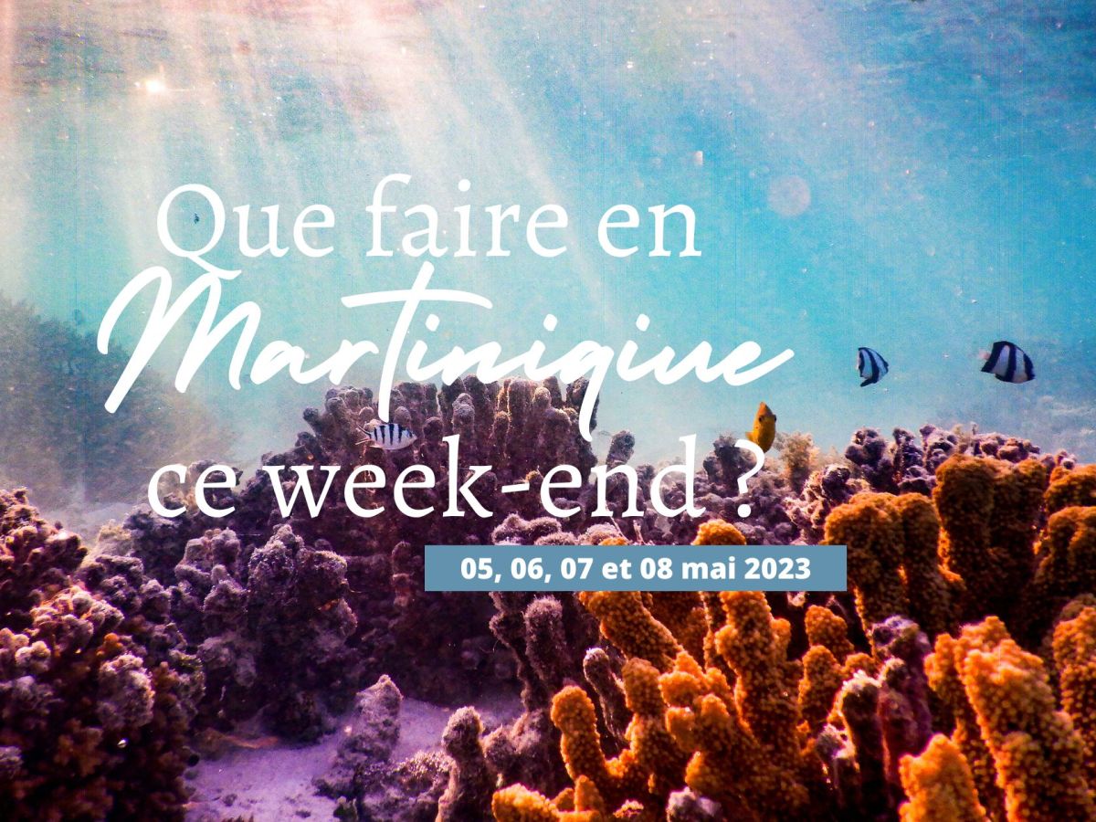 Que faire ce week-end en Martinique (5, 6, 7 et 8 mai 2023) ?